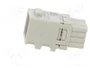 HARTING Módulo Hembra Han-Modular® Domino Han D® de 16 Pines