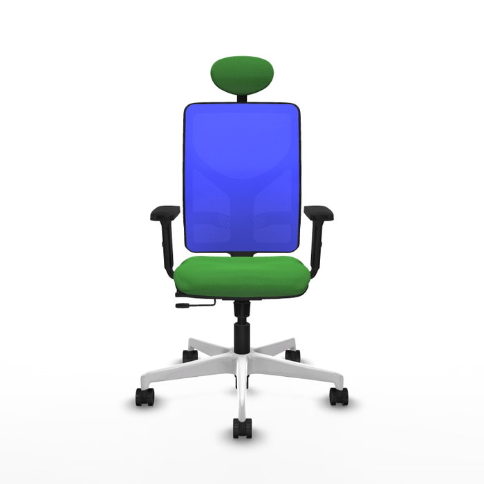 PIQUERAS Y CRESPO Silla de oficina Motilla con mecanismo Sincro/Traslack Verde y Azul PIQUERAS Y CRESPO Silla de oficina Motilla con mecanismo Sincro/Traslack Verde y Azul