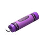 Sandisk Crayola USB-C Flash Drive 128 GB Vivid Violet