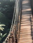 DKD Home Decor Set de 9 Lienzos Puente Selva