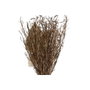 DKD Home Decor Set de 3 Flores Secas con Detalles en Cristal Blanco y Natural