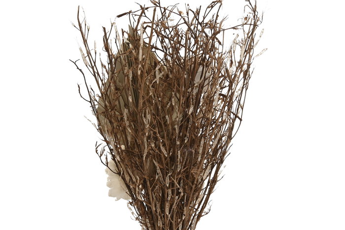 DKD Home Decor Planta Shabby Blanco Natural Flor Seca Cristal 11 x 40 x 11 cm (3 Unidades) DKD Home Decor Planta Shabby Blanco Natural Flor Seca Cristal 11 x 40 x 11 cm (3 Unidades)