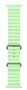 Apple Ocean Band Verde para Apple Watch 44mm, 45mm, 46mm, 49mm
