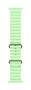 Apple Ocean Band Verde para Apple Watch 44mm, 45mm, 46mm, 49mm