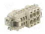 WIELAND Conector HDC Hembra Recto