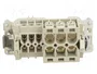 WIELAND Conector HDC Hembra Recto