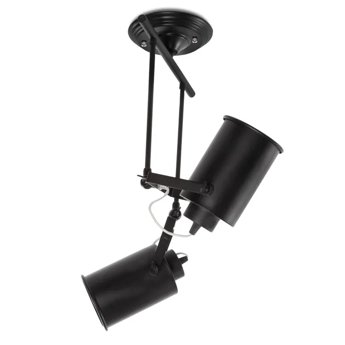 Lámpara de Techo Daleyza HO-APL-GU10-013 GU10 Orientable Aluminio Interior Tiendas Escaparates Luz Acento Lámpara de Techo Daleyza HO-APL-GU10-013 GU10 Orientable Aluminio Interior Tiendas Escaparates Luz Acento