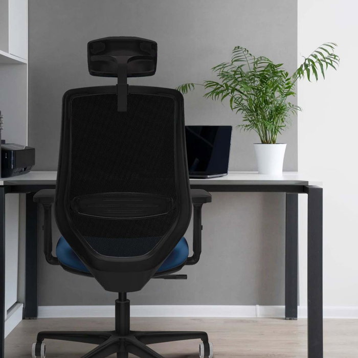PIQUERAS Y CRESPO Silla de oficina Mardos con mecanismo Sincro, Azul claro y Negro PIQUERAS Y CRESPO Silla de oficina Mardos con mecanismo Sincro, Azul claro y Negro