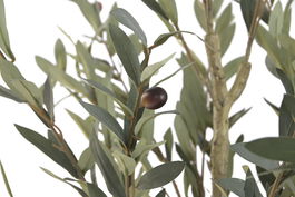 DKD Home Decor Árbol Mediterráneo Olivo Artificial Verde 80x180x80 cm, 2 Unidades - Desmontable, Poliéster y Cemento