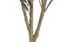 DKD Home Decor Árbol de Olivo Verde de Poliéster y Cemento 80x80x180 cm