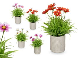 IBERGARDEN Maceta Cemento Cuadrados Flores Surtido 4