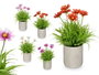 IBERGARDEN Maceta Cemento Cuadrados Flores Surtido 4