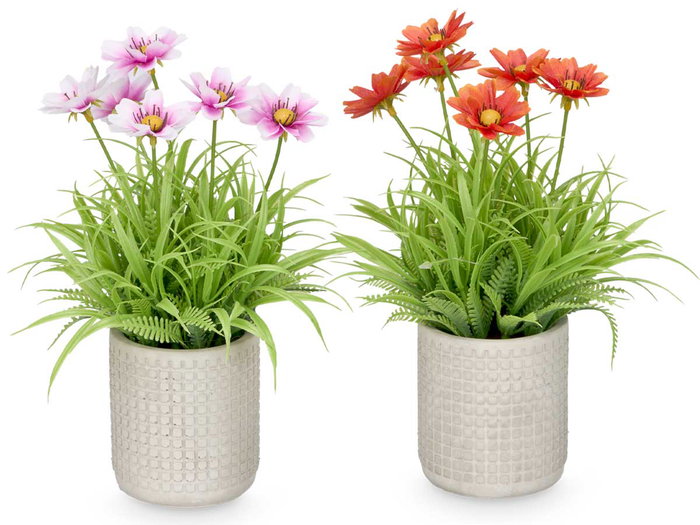 IBERGARDEN Maceta Cemento Cuadrados Flores Surtido 4