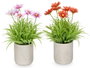 IBERGARDEN Maceta Cemento Cuadrados Flores Surtido 4