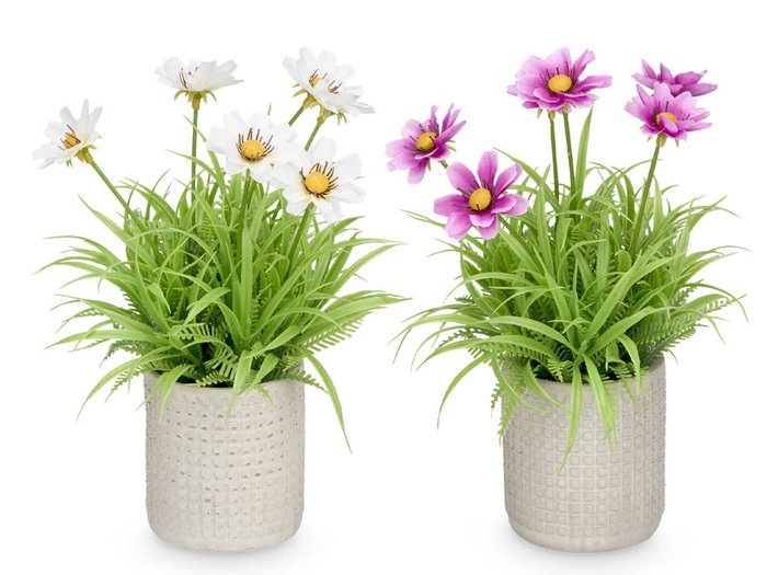IBERGARDEN Maceta Cemento Cuadrados Flores Surtido 4