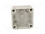 OBO BETTERMANN T 60 OE Caja de Conexiones Gris Claro