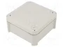 OBO BETTERMANN T 60 OE Caja de Conexiones Gris Claro