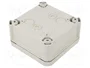 OBO BETTERMANN T 60 OE Caja de Conexiones Gris Claro