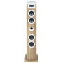 Thomson Altavoz torre DS121CD 60W Bluetooth/CD/USB/SD/Radio FM Blanco/Madera