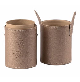 Victoria Vynn Brush Case Gold