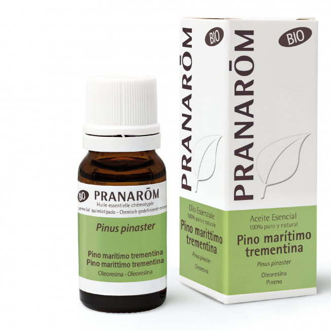 PRANAROM Aceite esencial de Pino marítimo bio 10 ml