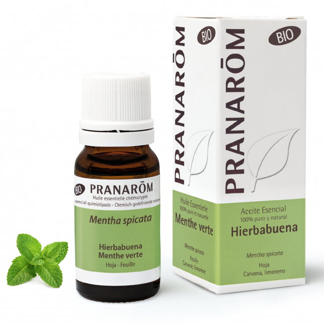 PRANAROM Aceite Esencial Hierbabuena Bio 10 ml PRANAROM Aceite Esencial Hierbabuena Bio 10 ml