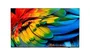 Philips 65HFL6214U/12 Televisor 65 pulg 4K Ultra HD LED Antracita