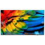Philips 65HFL6214U/12 Televisor 65 pulg 4K Ultra HD LED Antracita