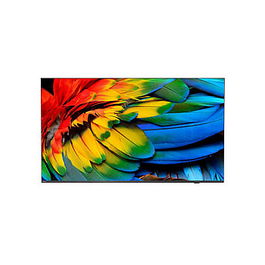 TP VISION 65HFL6214U/12 Televisor Hotel LED 65" 4K Ultra HD Smart TV Wifi Antracita