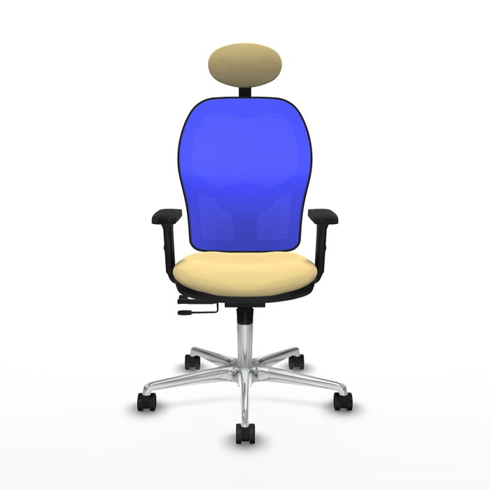 PIQUERAS Y CRESPO Silla de oficina Jorquera con mecanismo Sincro/Traslack, Crema y Azul PIQUERAS Y CRESPO Silla de oficina Jorquera con mecanismo Sincro/Traslack, Crema y Azul