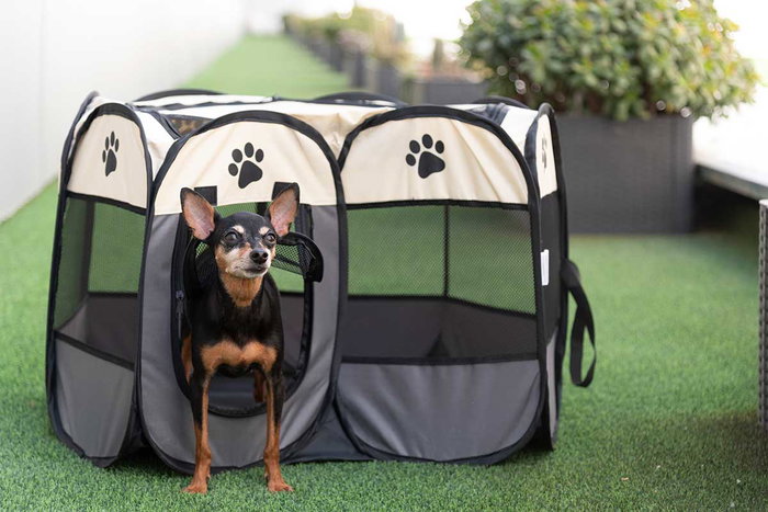 Mascow Cabaña para Mascotas Pequeña Surtidos Colores 67x46x67cm (Set de 6)