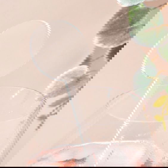 Algon Set-24 Agitador Bebidas Plástico 17,9 x 3 x 0,1 cm (24 Unidades)