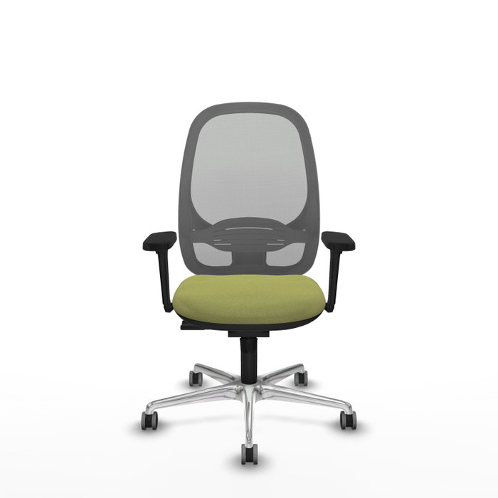 PIQUERAS Y CRESPO Silla de oficina Cilanco con mecanismo Sincro, Verde oliva y Gris PIQUERAS Y CRESPO Silla de oficina Cilanco con mecanismo Sincro, Verde oliva y Gris
