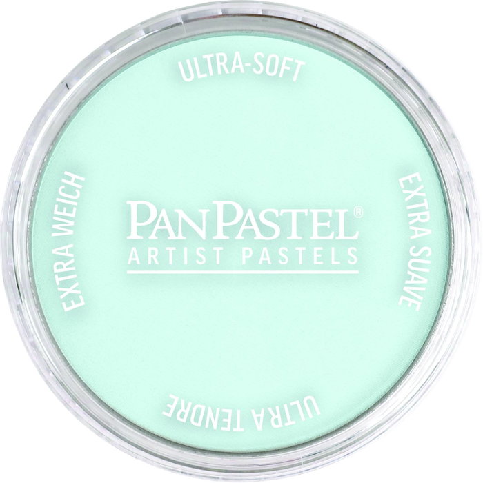 Panpastel 580.8 Tinte Turquesa Panpastel 580.8 Tinte Turquesa