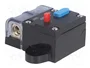 4CARMEDIA Fusible Automático de Coche 50A Retardado