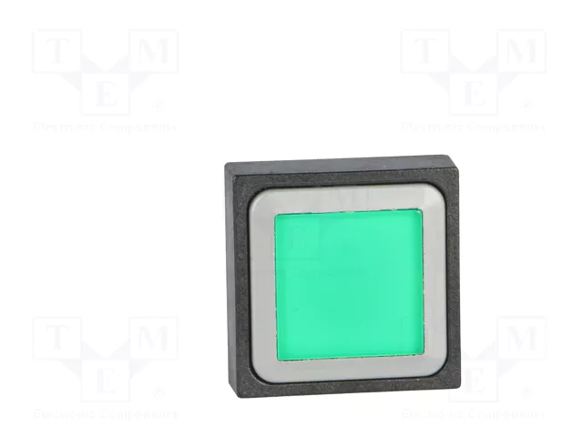 EATON ELECTRIC Interruptor de presión RMQ-16 verde 24VDC EATON ELECTRIC Interruptor de presión RMQ-16 verde 24VDC
