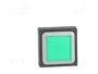 EATON ELECTRIC Interruptor de presión RMQ-16 verde 24VDC