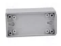 BOPLA Carcasa Universal Gris 50x100x40mm