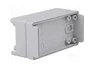 BOPLA Carcasa Universal Gris 50x100x40mm