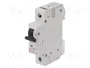 ETI POLAM Interruptor magnetotérmico ETIMAT 10 1P C40 40A 10kA