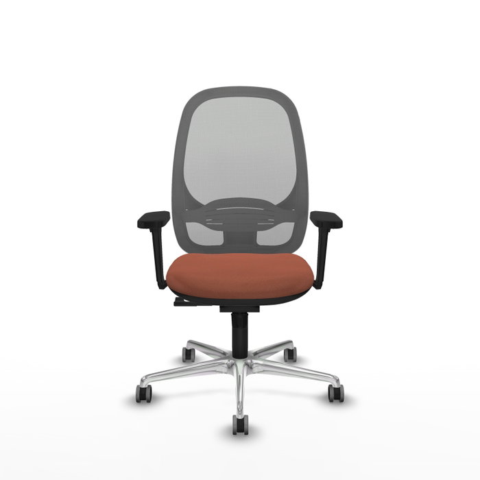 PIQUERAS Y CRESPO Silla de oficina Cilanco con Mecanismo Sincro, Tela Marrón y Malla Gris PIQUERAS Y CRESPO Silla de oficina Cilanco con Mecanismo Sincro, Tela Marrón y Malla Gris