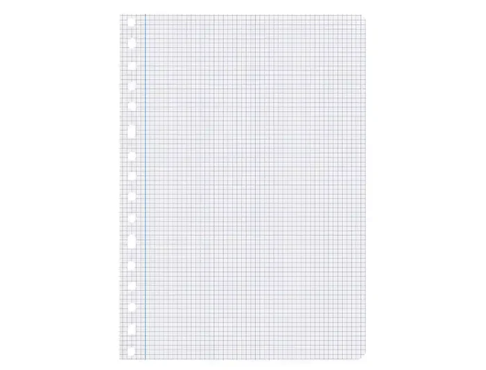 Liderpapel Recambio A4 100 Hojas 75g Cuadro 4mm con Margen y 16 Taladros Liderpapel Recambio A4 100 Hojas 75g Cuadro 4mm con Margen y 16 Taladros