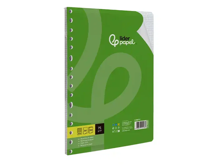 Liderpapel Recambio A4 100 Hojas 75g Cuadro 4mm con Margen y 16 Taladros Liderpapel Recambio A4 100 Hojas 75g Cuadro 4mm con Margen y 16 Taladros