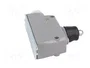 PROMET LM-10 Interruptor de fin de carrera con espiga SPDT