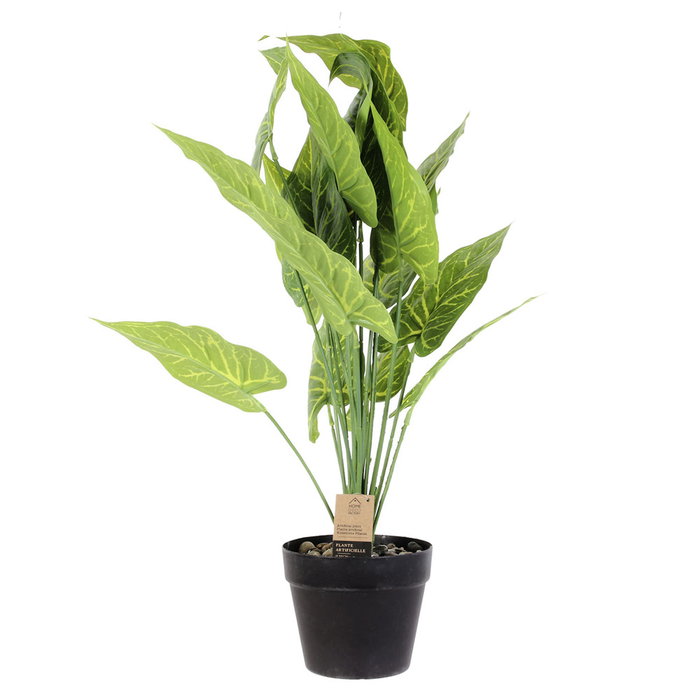 Home Deco Factory Planta Artificial Decorativa de Interior, 55 cm de Altura, Color Verde, Sin Mantenimiento