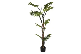 DKD Home Decor Planta Monstera Verde 60x60x170 cm