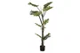 DKD Home Decor Planta Monstera Verde 60x60x170 cm