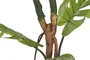 DKD Home Decor Planta Monstera Verde 60x60x170 cm