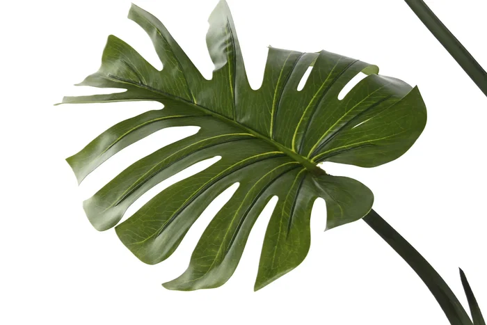 DKD Home Decor Planta Monstera Verde 60x60x170 cm