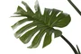 DKD Home Decor Planta Monstera Verde 60x60x170 cm